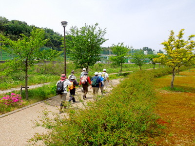 湯涌温泉から浅野川沿いに硝煙街道を歩く_e0153040_21030134.jpg