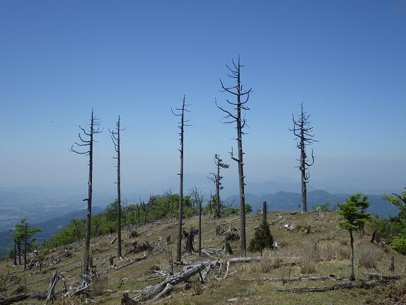 e0164643_10321031.jpg
