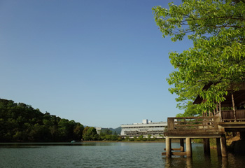 ことしの連休。_d0227246_16452161.jpg