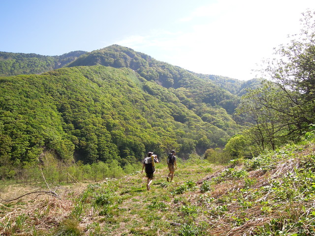 e0329049_171764.jpg