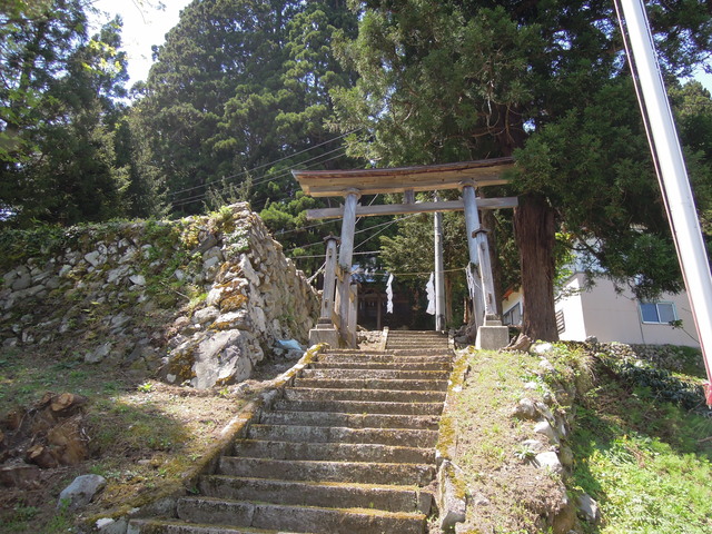 e0329049_1722390.jpg