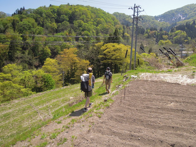 e0329049_17304779.jpg
