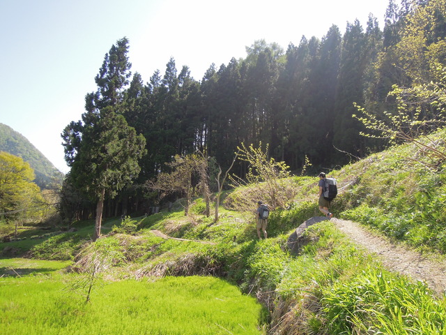 e0329049_1735145.jpg