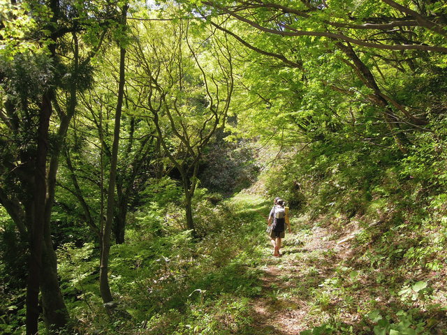 e0329049_1743924.jpg