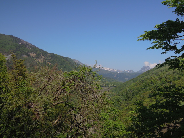 e0329049_1745646.jpg