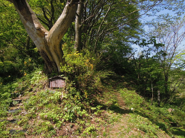 e0329049_1784529.jpg