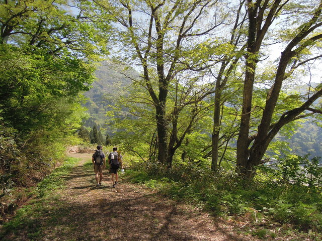 e0329049_179425.jpg