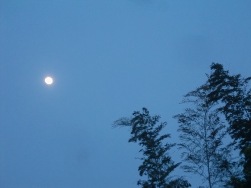 f0329849_22121823.jpg