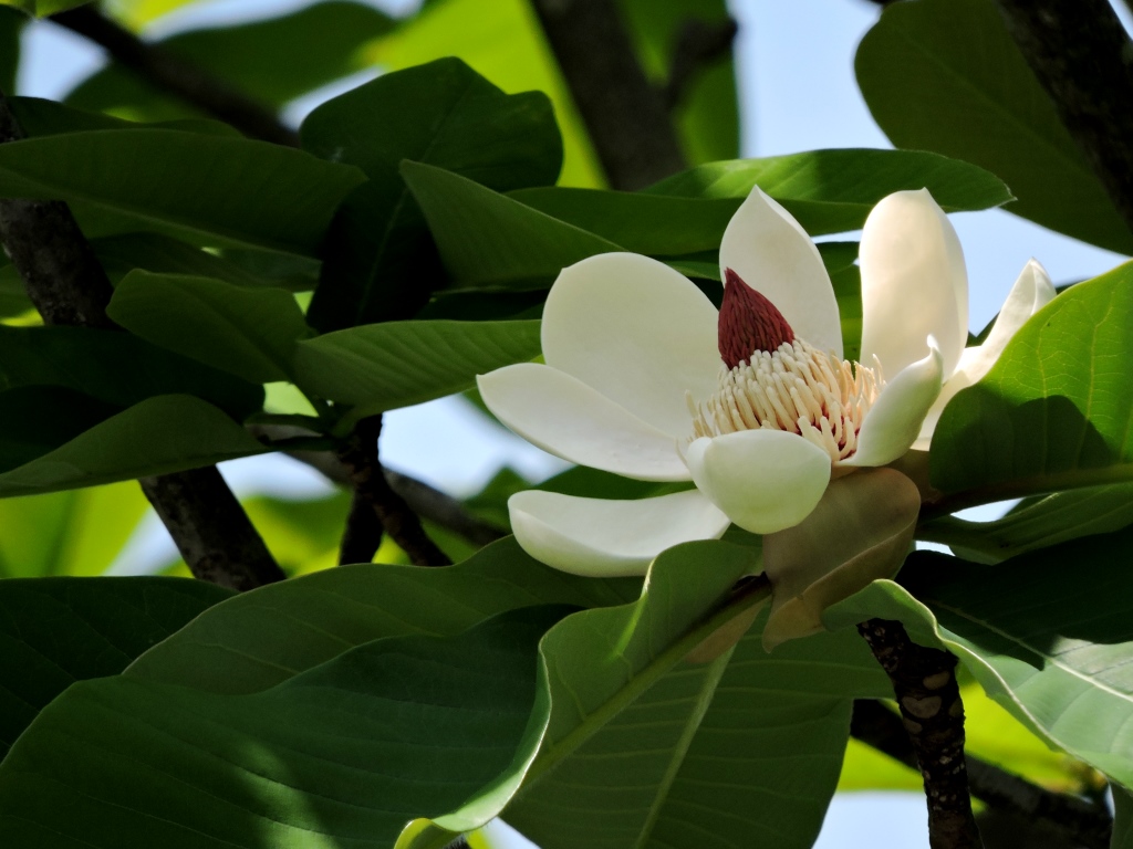 f0043750_32897.jpg