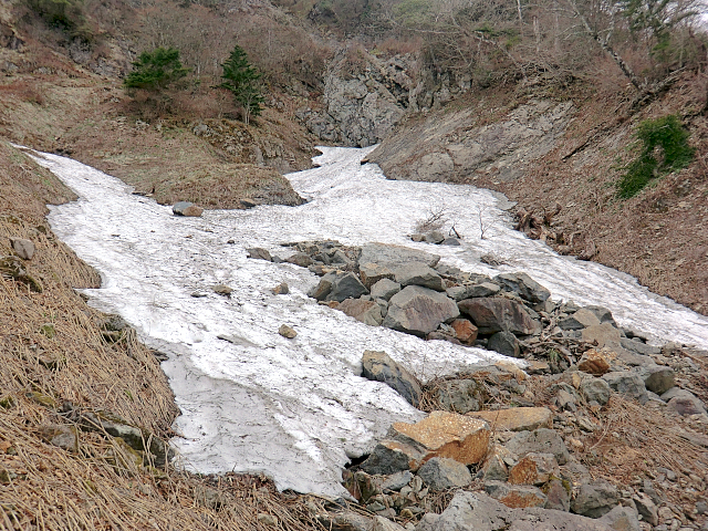 f0356953_20005941.jpg