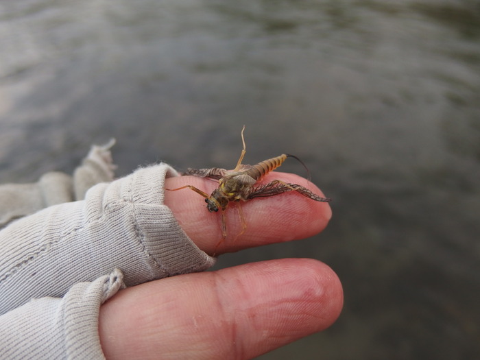 e0212759_23102061.jpg