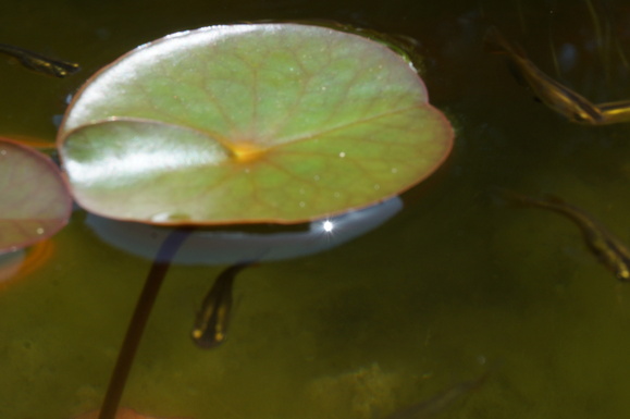 b0243161_22143421.jpg