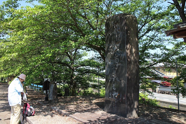 b0044663_1625542.jpg