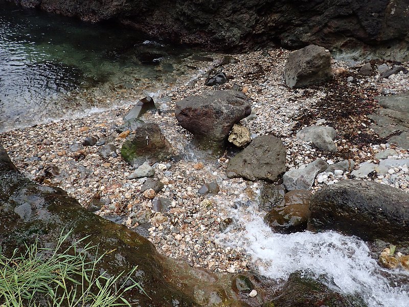 b0084270_31876.jpg