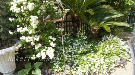 移植致しましたお花も満開です~♥_f0029571_16372215.jpg