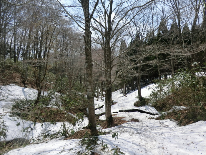 b0185573_17565586.jpg