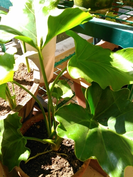 c0162773_15430498.jpg