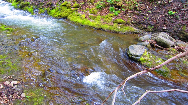 a0242984_222329.jpg
