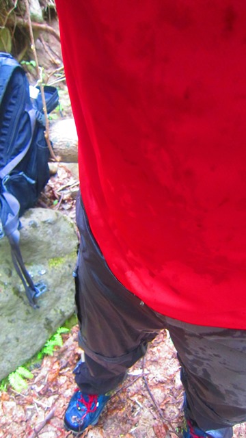 a0242984_22421453.jpg