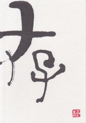 第11回書文通5月「総画6画の漢字」_d0285885_14112395.jpg