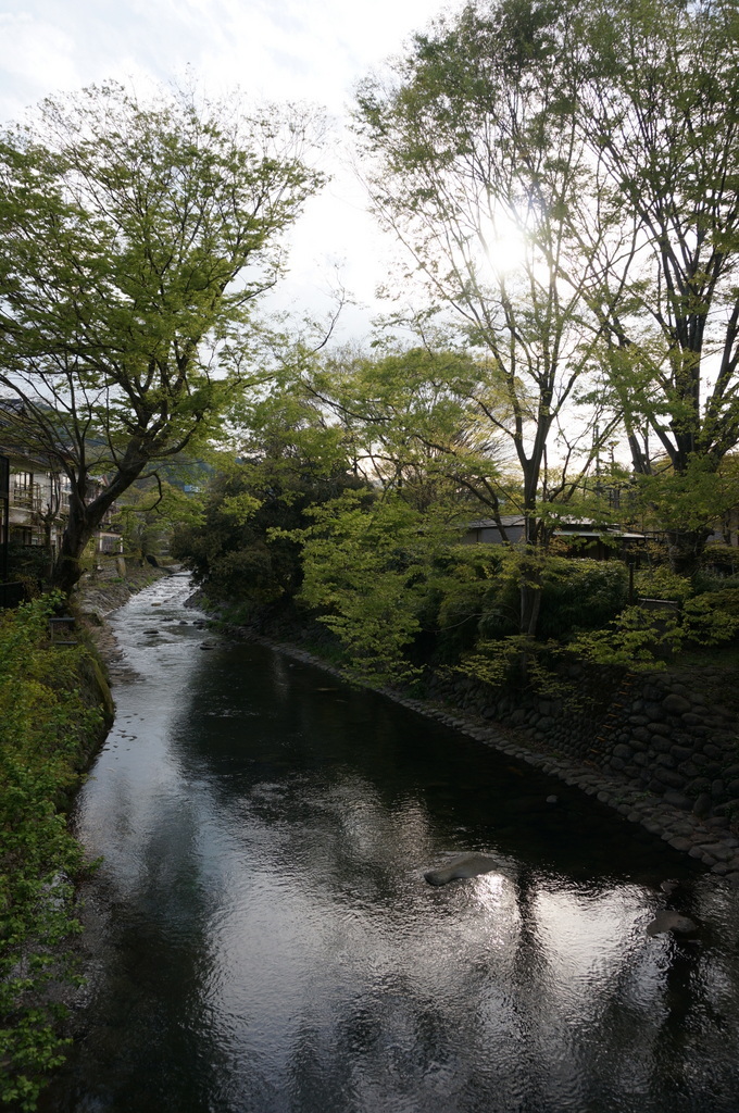 @ベルリン帰国日記 修善寺へ。_c0180686_03072043.jpg