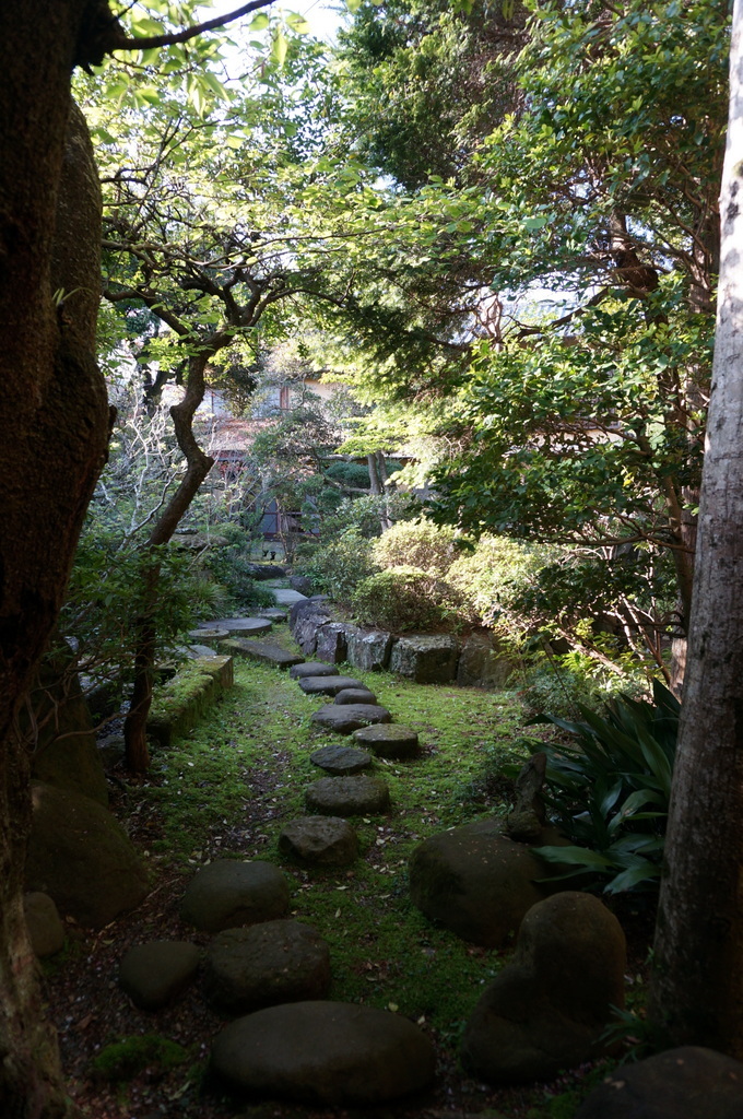 @ベルリン帰国日記 修善寺へ。_c0180686_03083208.jpg