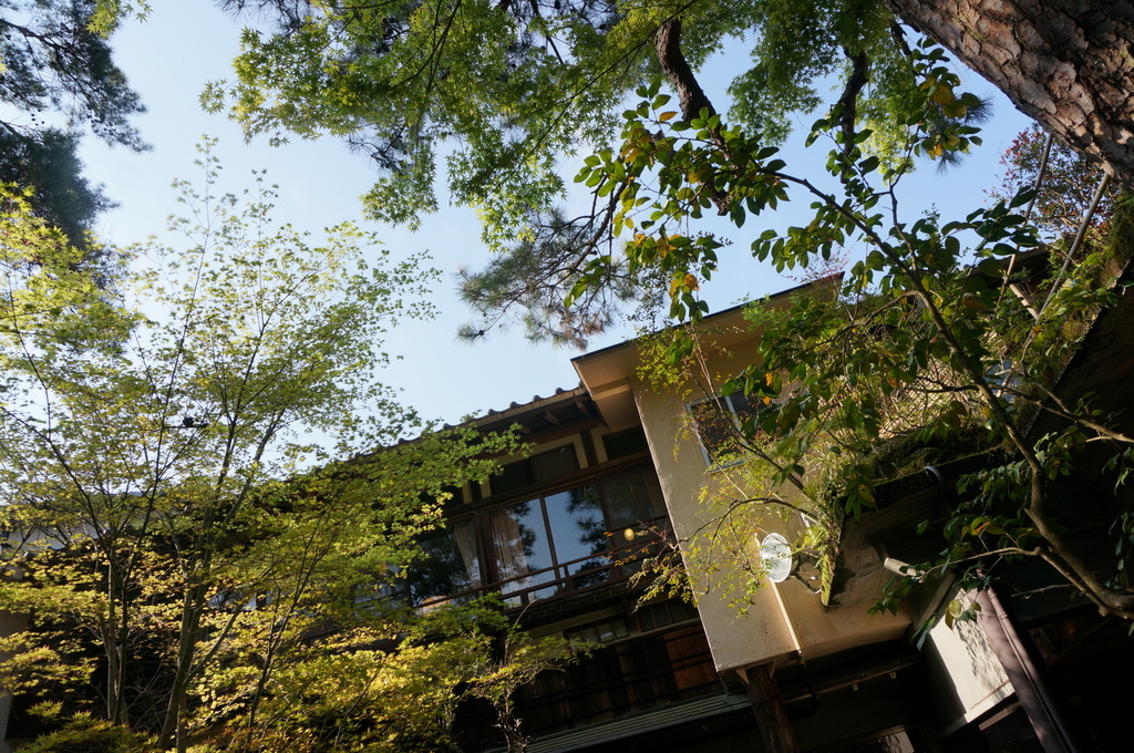 @ベルリン帰国日記 修善寺へ。_c0180686_03085164.jpg