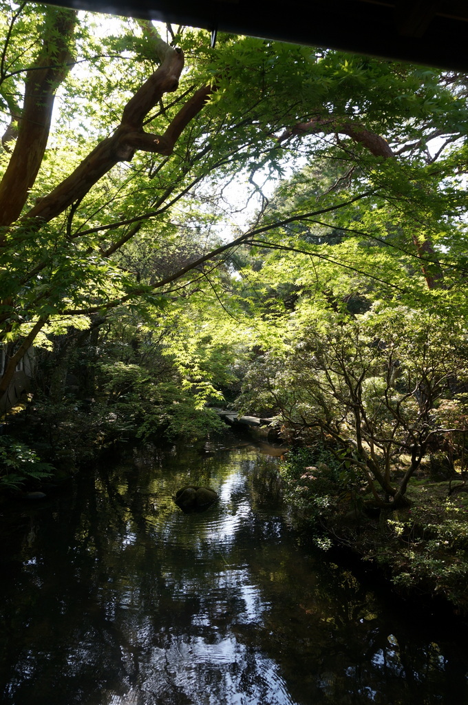 @ベルリン帰国日記 修善寺へ。_c0180686_03102841.jpg