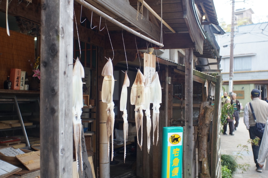 @ベルリン帰国日記 修善寺_c0180686_04093919.jpg