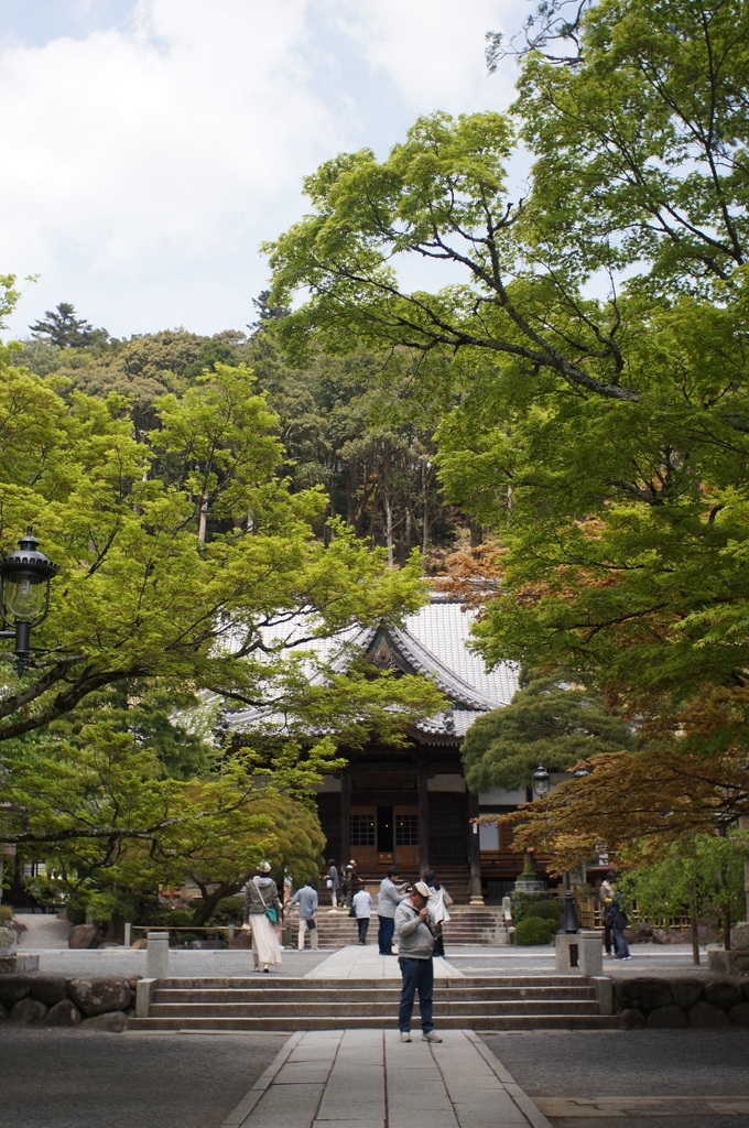 @ベルリン帰国日記 修善寺_c0180686_04100496.jpg