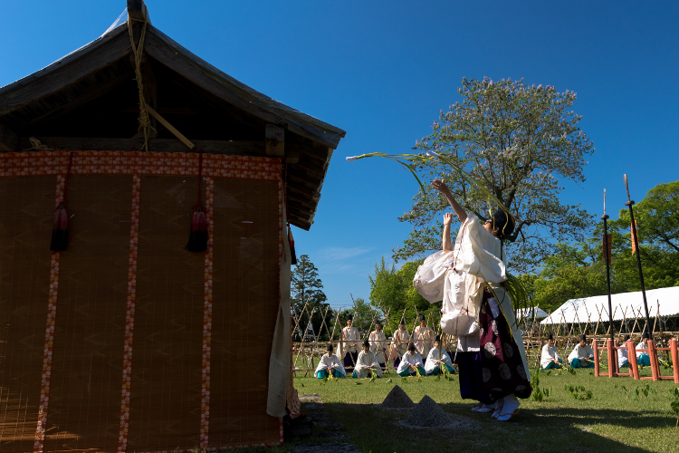 上賀茂神社(賀茂競馬)_e0051888_5591857.jpg
