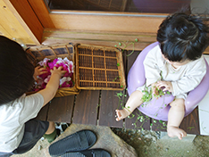 a0118993_123164.jpg