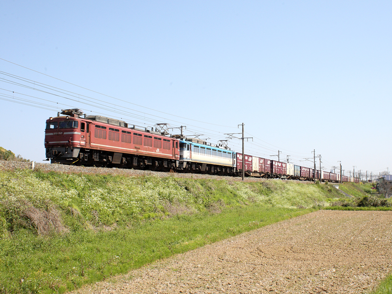 e0268096_4511048.jpg