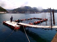 f0079996_18381517.jpg