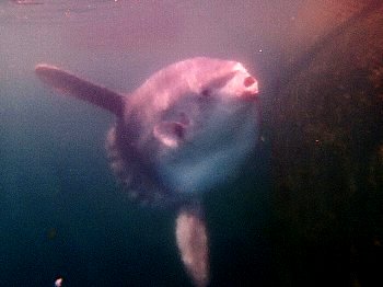 f0079996_18383588.jpg