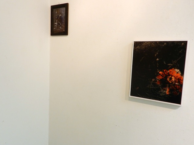 〜5/12 【北室】6th work Photograph 三浦ひろみ写真展 【プレ開催】アラフィアフェアトレードバスケット展_f0106896_1349384.jpg
