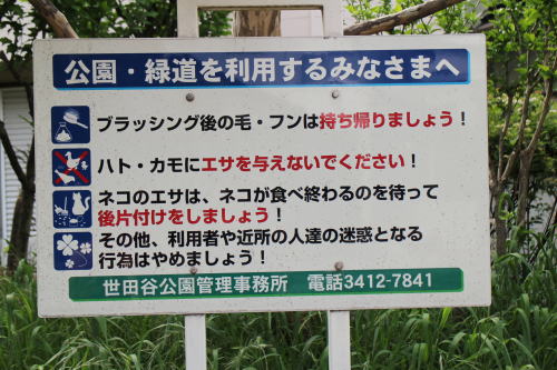 c0090198_18382834.jpg