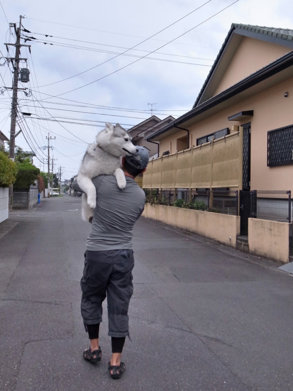 はなちゃん、いいこと思いついた (^o^)_c0049299_21495763.jpg