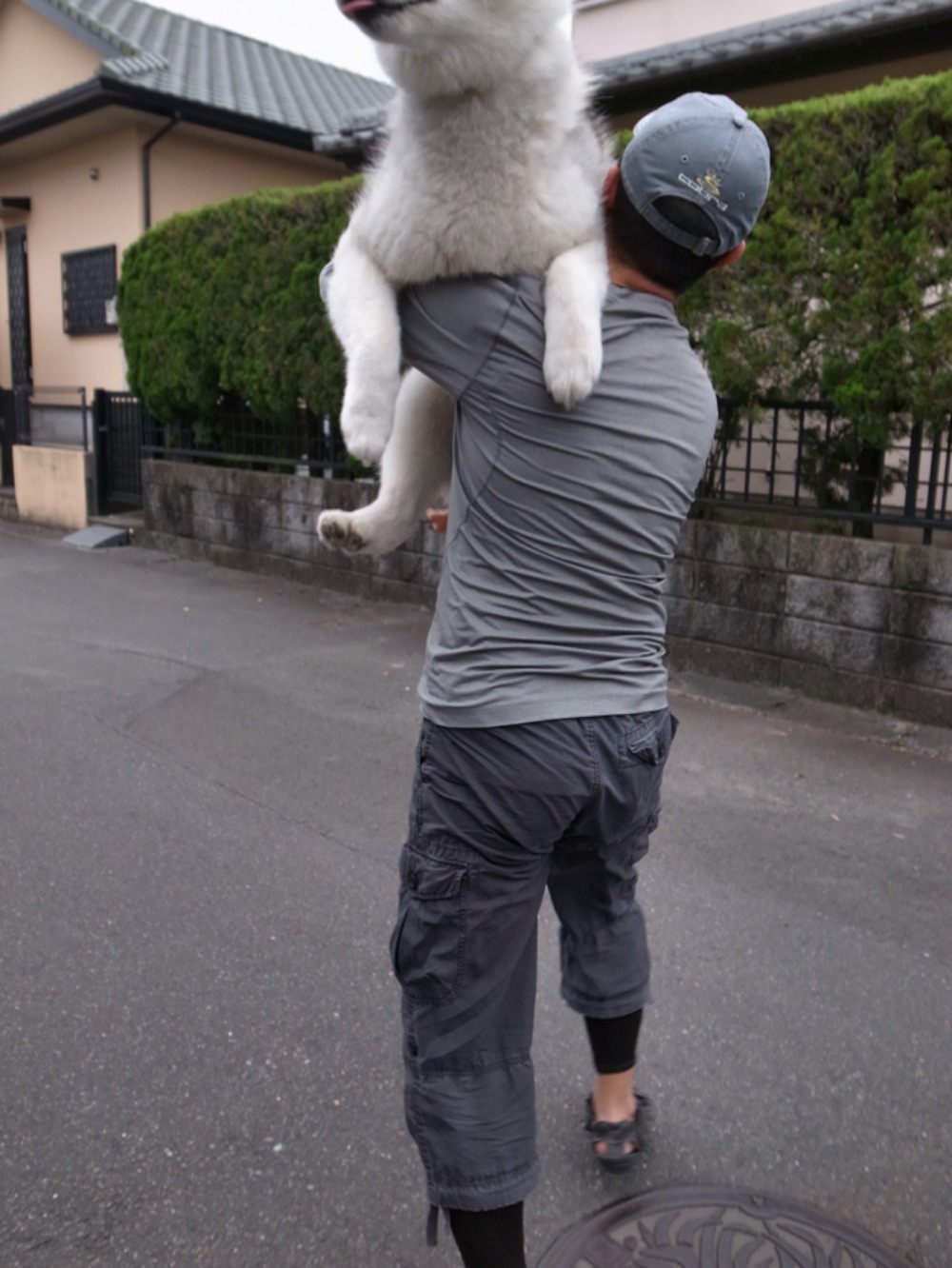 はなちゃん、いいこと思いついた (^o^)_c0049299_2150184.jpg