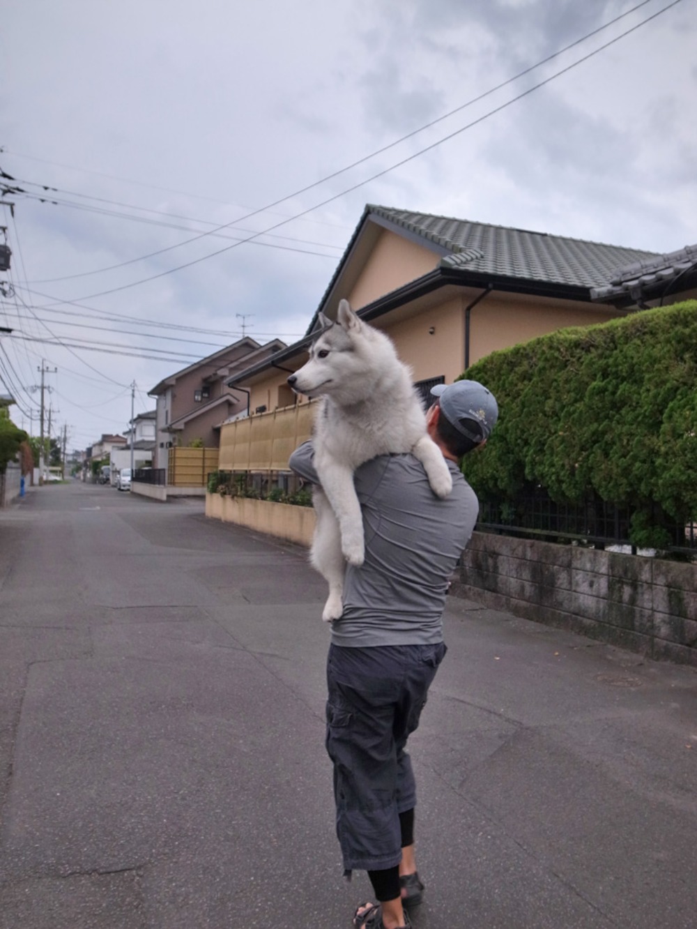 はなちゃん、いいこと思いついた (^o^)_c0049299_2150356.jpg
