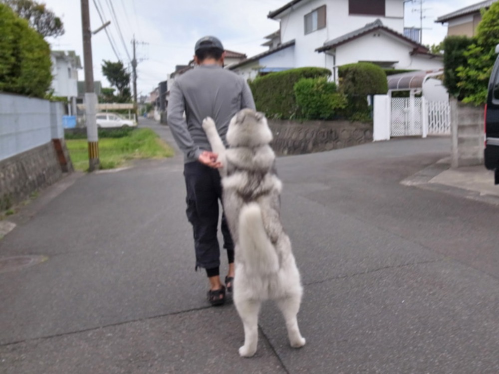はなちゃん、いいこと思いついた (^o^)_c0049299_21503582.jpg