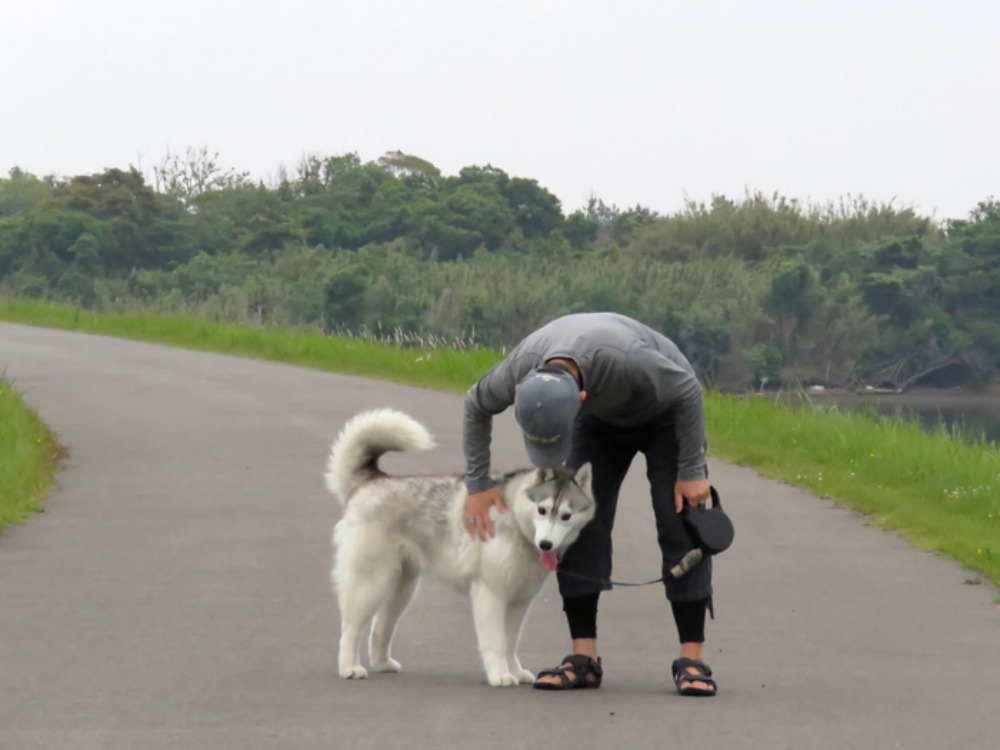はなちゃん、いいこと思いついた (^o^)_c0049299_21505262.jpg