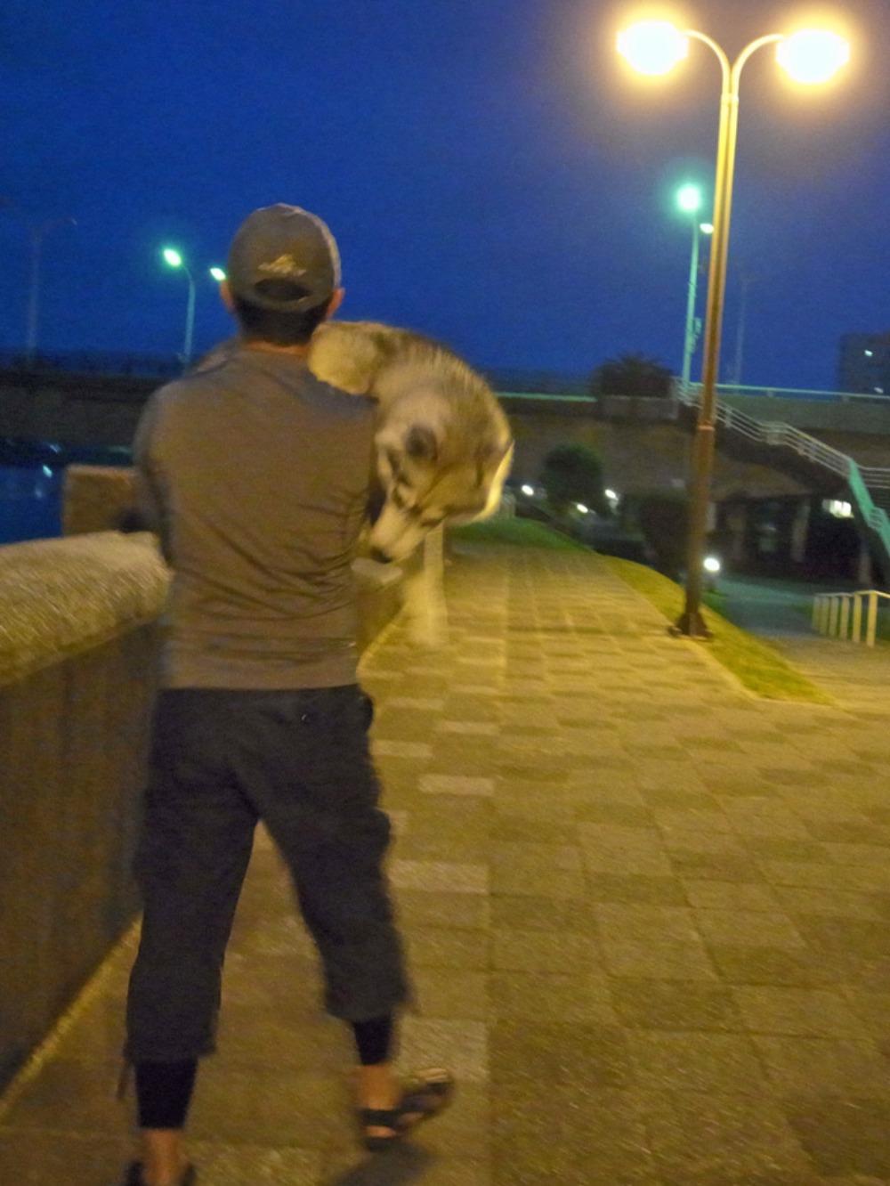 はなちゃん、いいこと思いついた (^o^)_c0049299_2151856.jpg