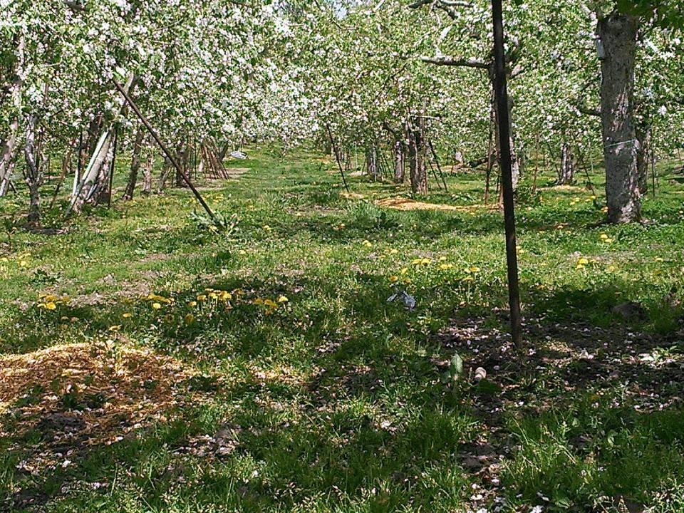 e0104702_1942858.jpg