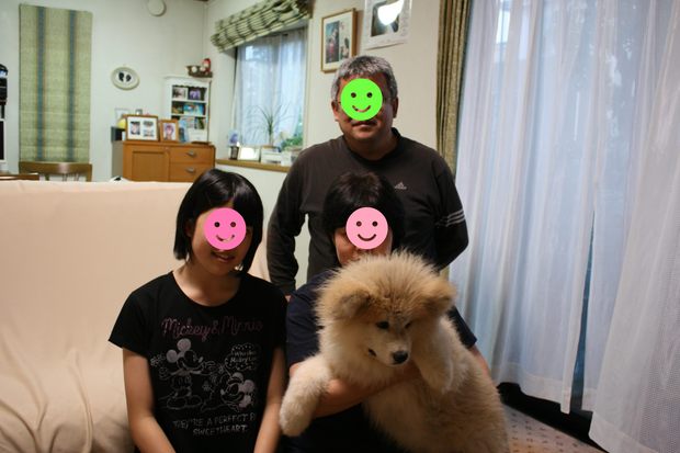 沢山の新しい出発!(ラブくんラブたち子犬たち)_f0242002_0584838.jpg