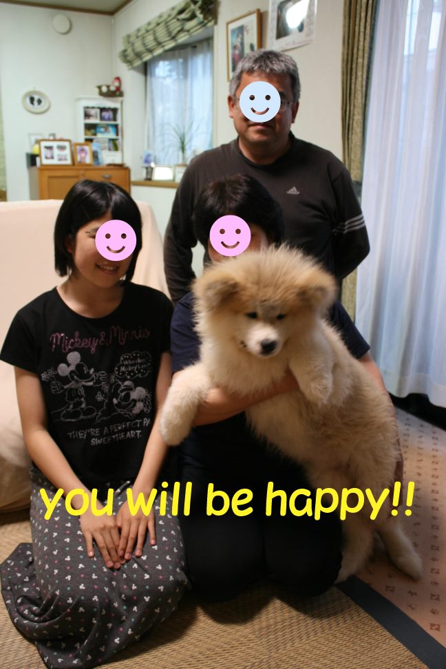 沢山の新しい出発!(ラブくんラブたち子犬たち)_f0242002_104792.jpg