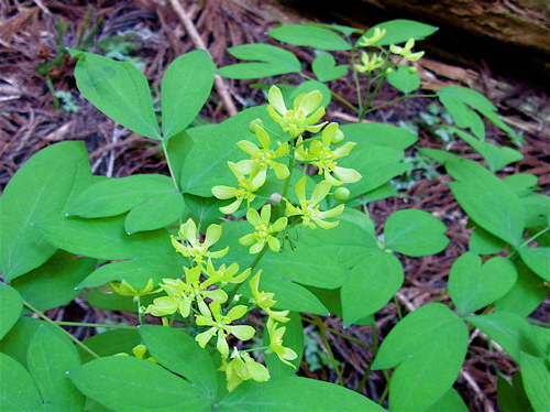 a0164011_22582015.jpg