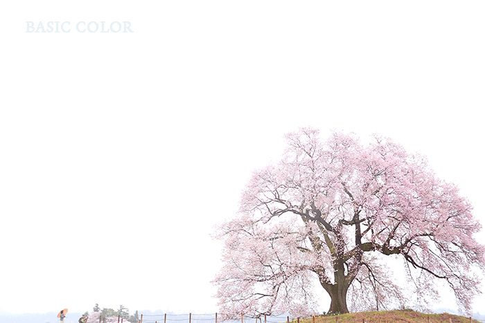c0345215_16405257.gif