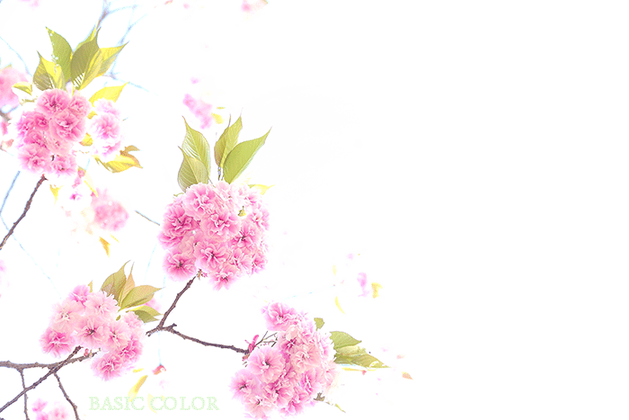 c0345215_18325599.gif