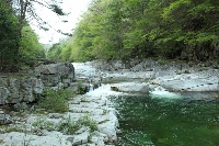 a0233021_22322458.jpg